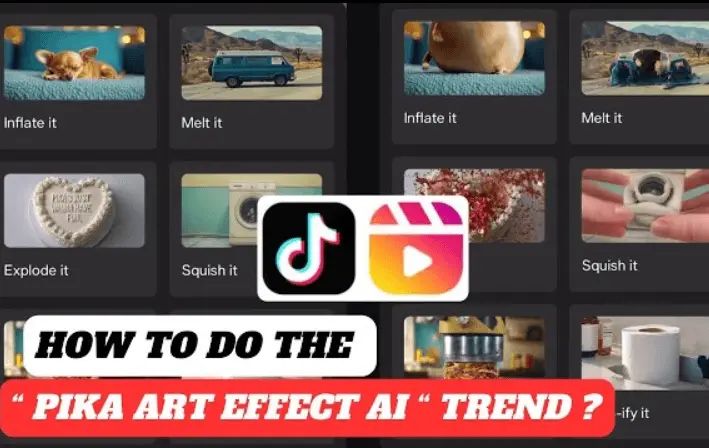Pika Art AI Video Effect